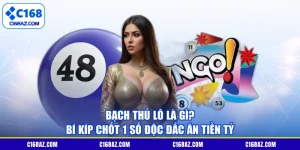 Bạch Thủ Lô Là Gì? Cách Đánh Và Luật Chơi Cần Biết