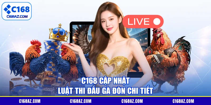 C168 cập nhật luật thi đấu gà đòn chi tiết