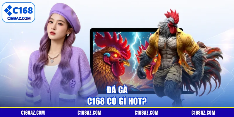Đá gà C168 có gì hot?