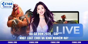 Đá Gà Đòn 2026 - Cập Nhật Luật Chơi Và Kinh Nghiệm Hay