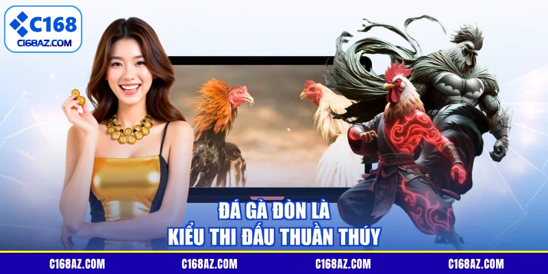 Đá gà đòn là kiểu thi đấu thuần thúy