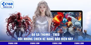 Đá Gà Thomo - Theo Dõi Những Chiến Kê Hàng Đầu Hiện Nay