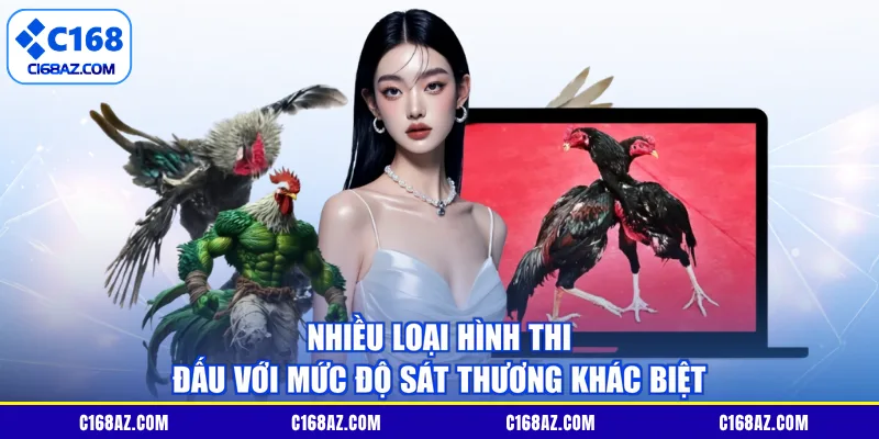 Nhiều loại hình thi đấu với mức độ sát thương khác biệt