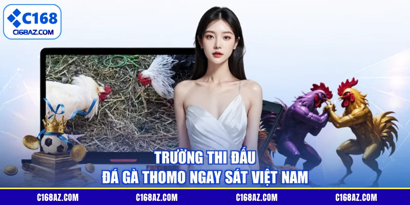 Trường thi đấu đá gà Thomo ngay sát Việt Nam